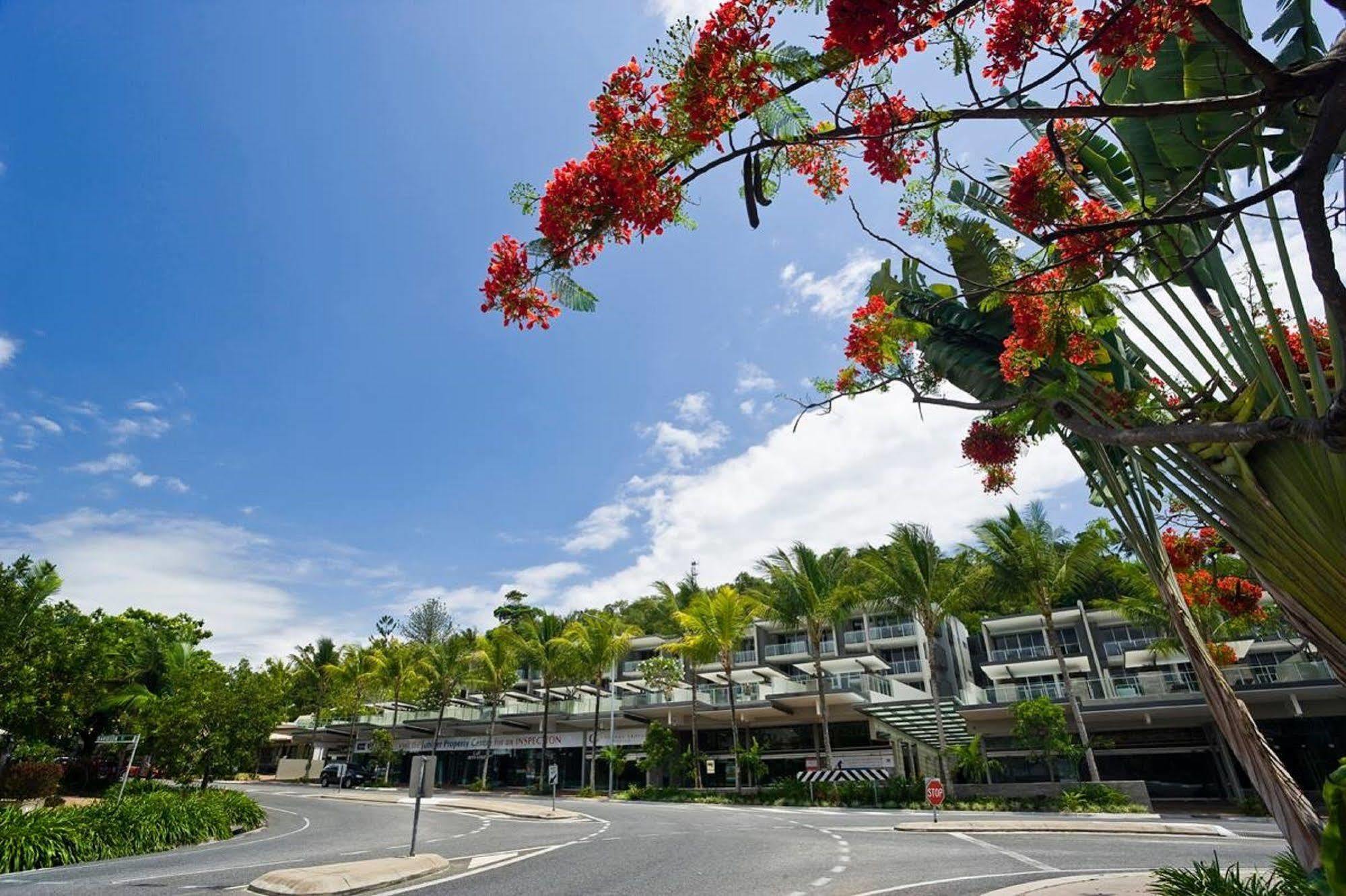 Coconut Grove Aparthotel Port Douglas Exteriör bild